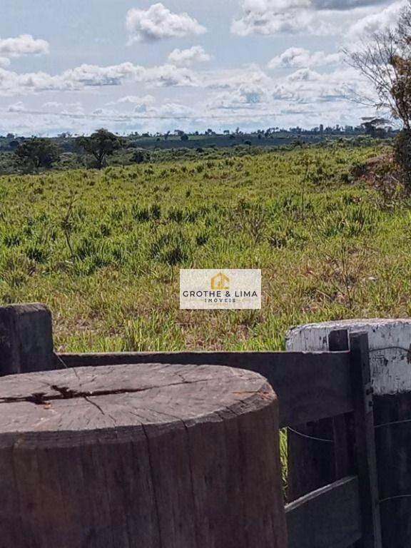 Fazenda de 2.628 ha em Wanderlândia, TO