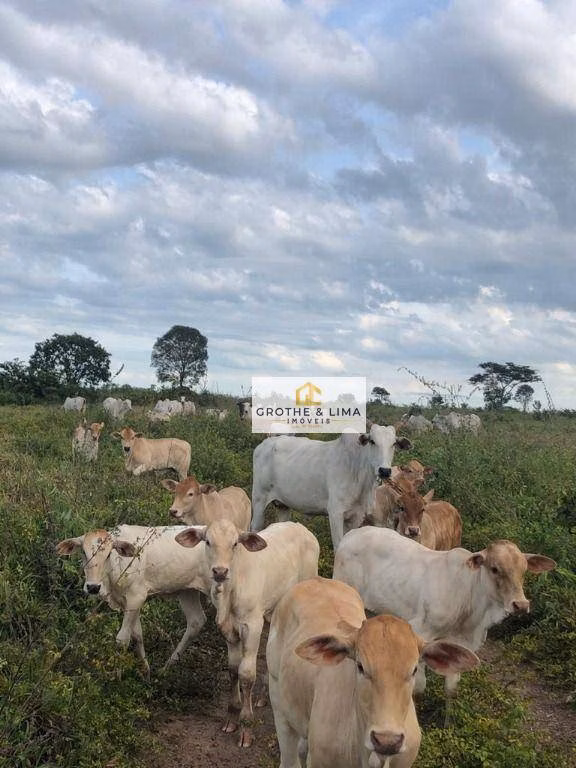Fazenda de 2.628 ha em Wanderlândia, TO