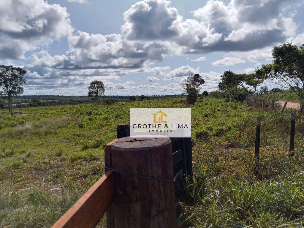 Fazenda de 2.628 ha em Wanderlândia, TO