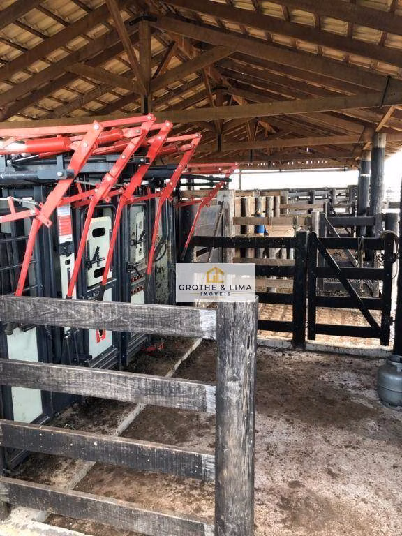 Fazenda de 2.628 ha em Wanderlândia, TO