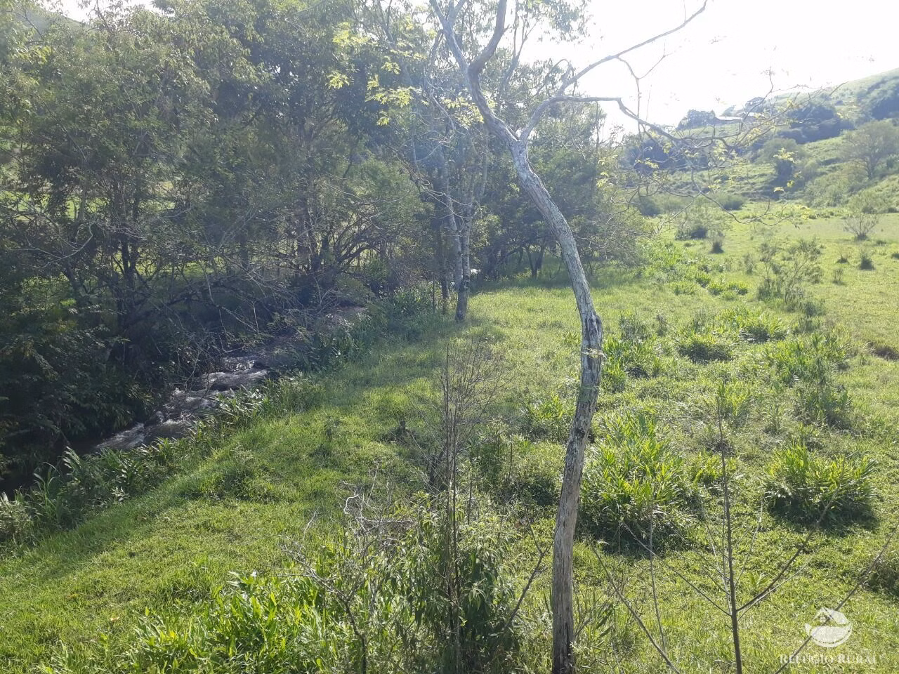 Small farm of 47 acres in Delfim Moreira, MG, Brazil