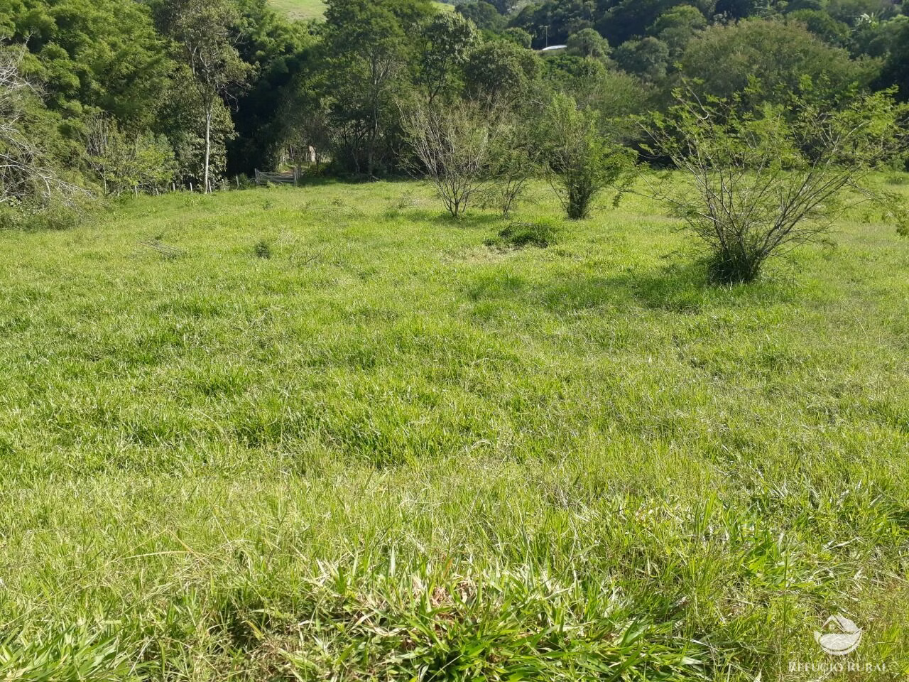 Small farm of 47 acres in Delfim Moreira, MG, Brazil