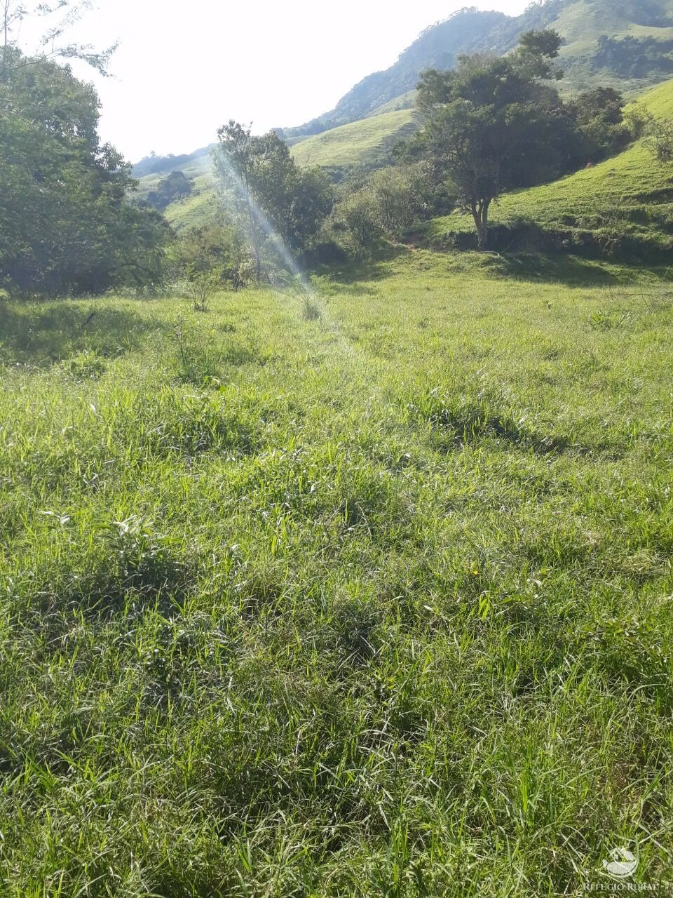 Small farm of 47 acres in Delfim Moreira, MG, Brazil