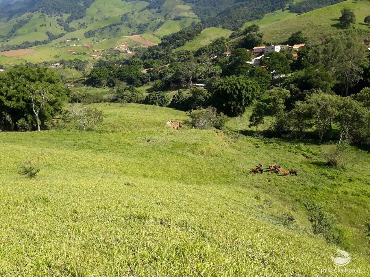 Small farm of 47 acres in Delfim Moreira, MG, Brazil