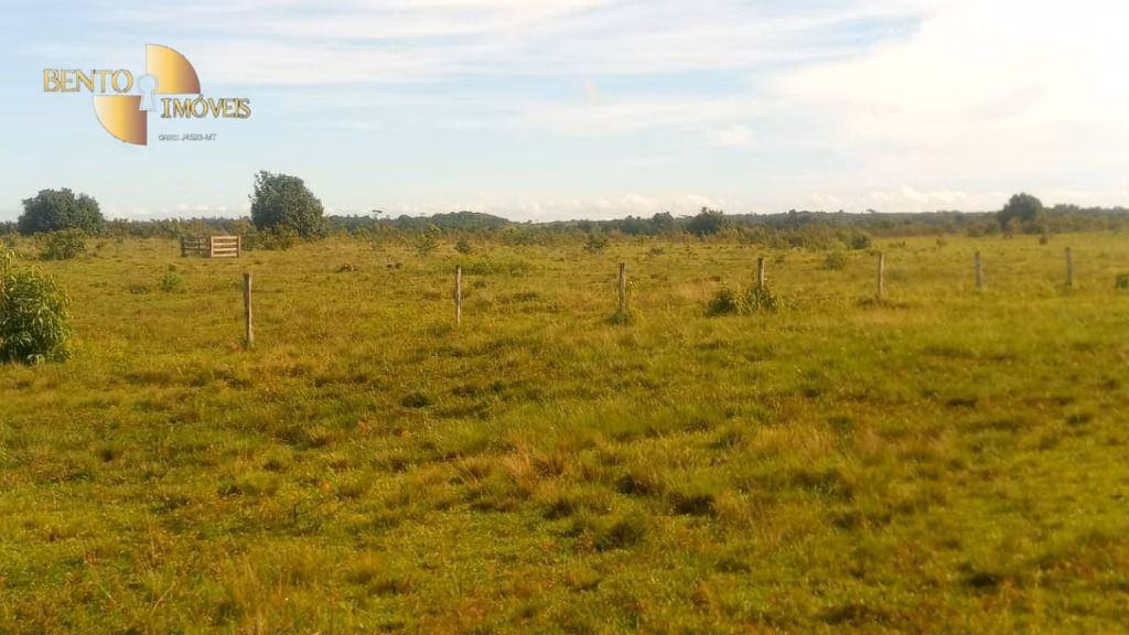Fazenda de 6.500 ha em Viseu, PA