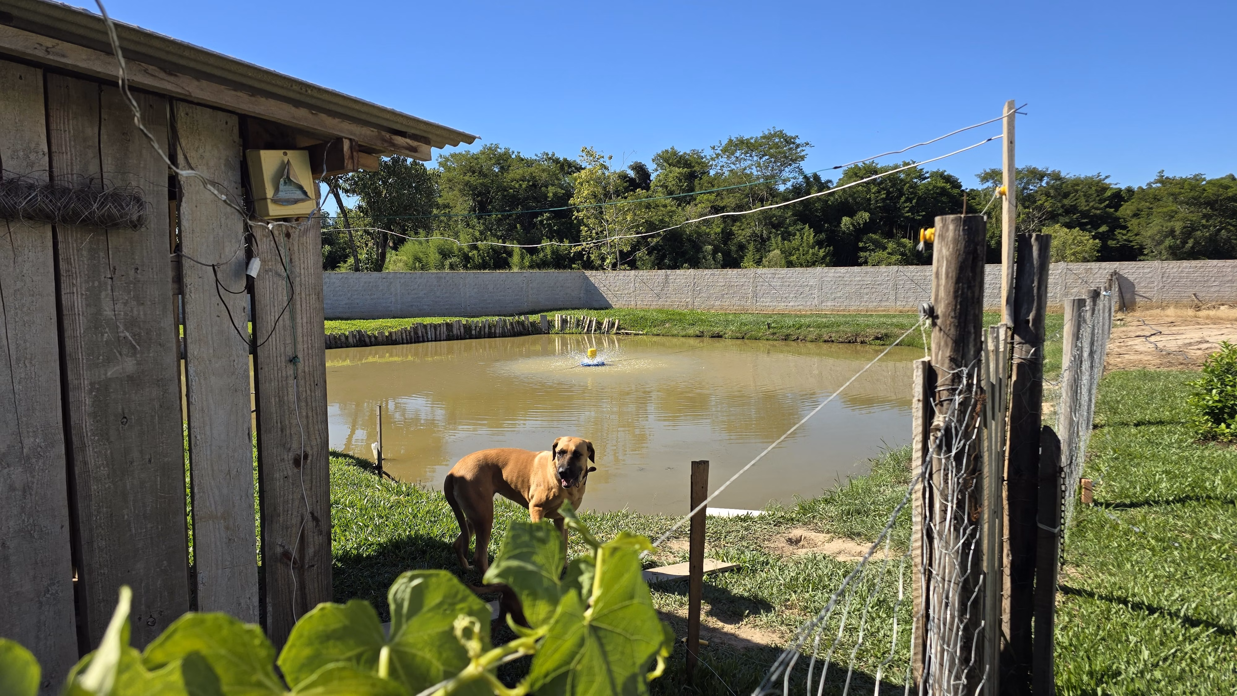 Casa de 1.800 m² em Tomazina, PR