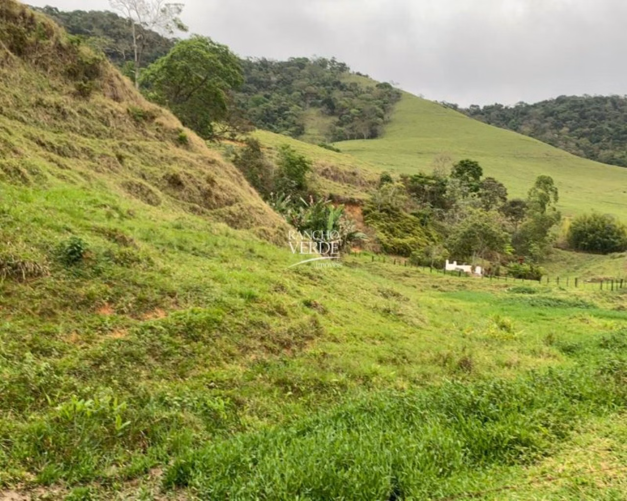 Fazenda de 136 ha em Pindamonhangaba, SP
