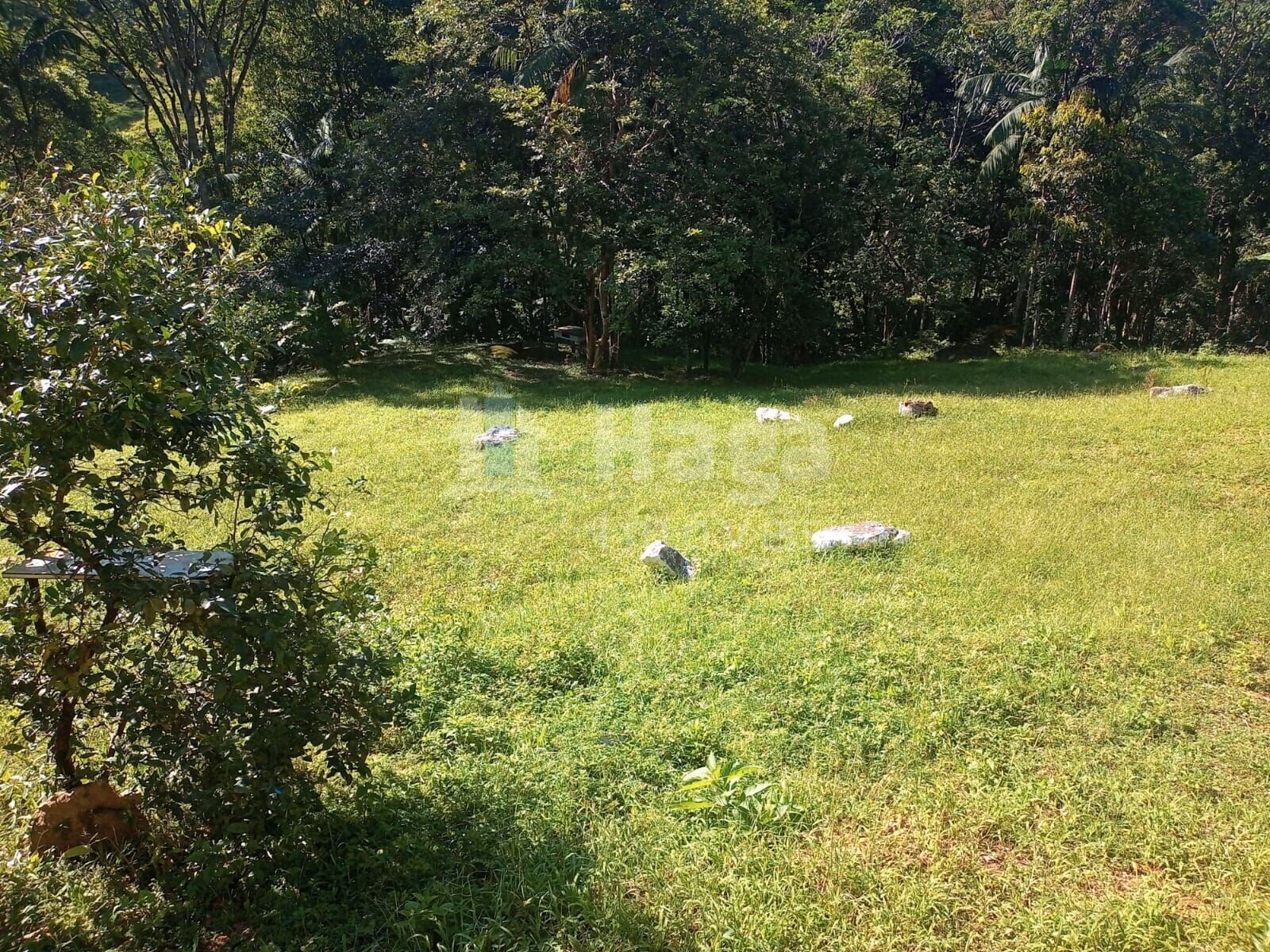 Fazenda de 4.000 m² em Nova Trento, SC