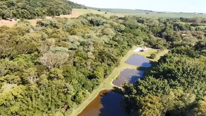 Sítio de 15 ha em Cambará, PR