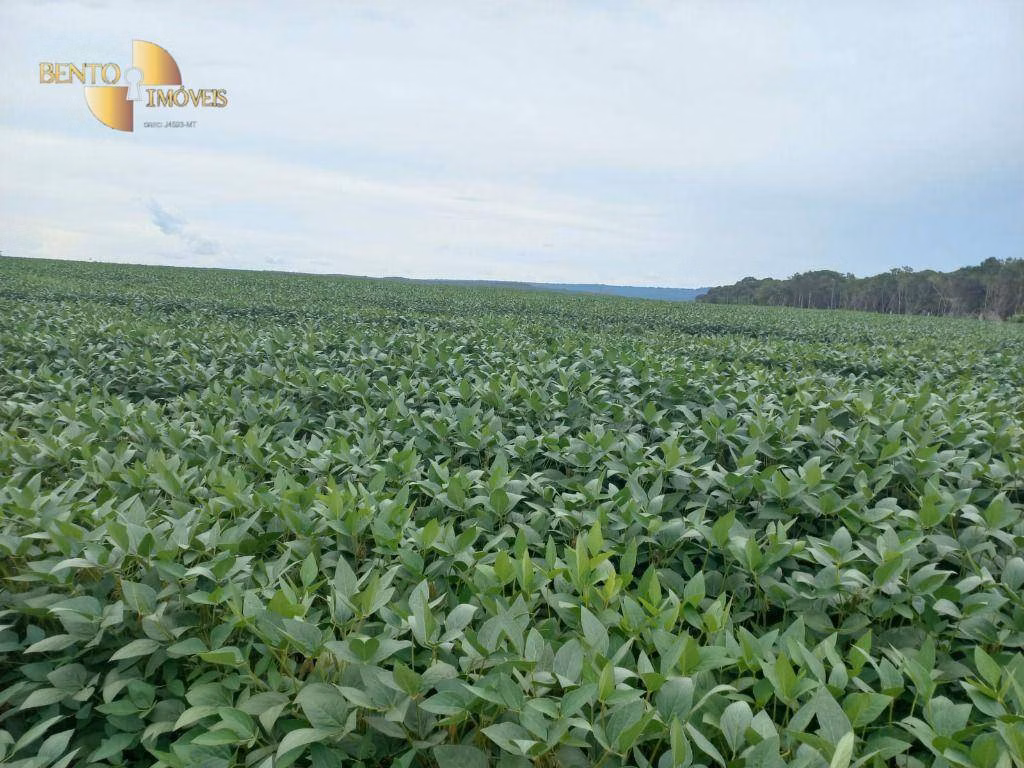 Fazenda de 3.025 ha em Nova Monte Verde, MT