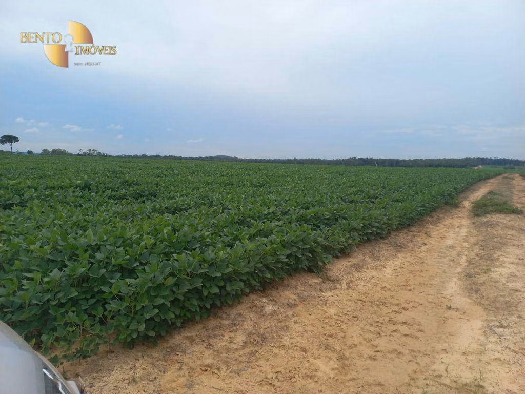 Fazenda de 3.025 ha em Nova Monte Verde, MT