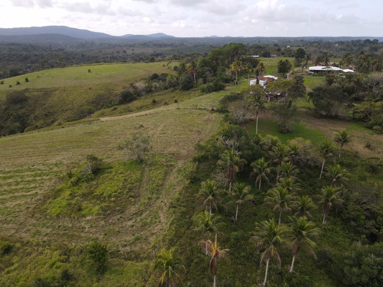 Fazenda de 45 ha em Ilhéus, BA
