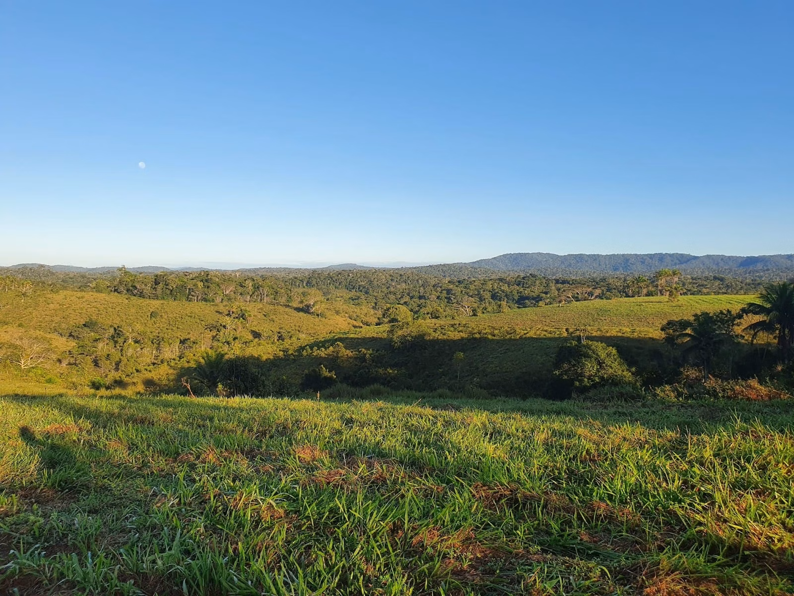 Fazenda de 45 ha em Ilhéus, BA