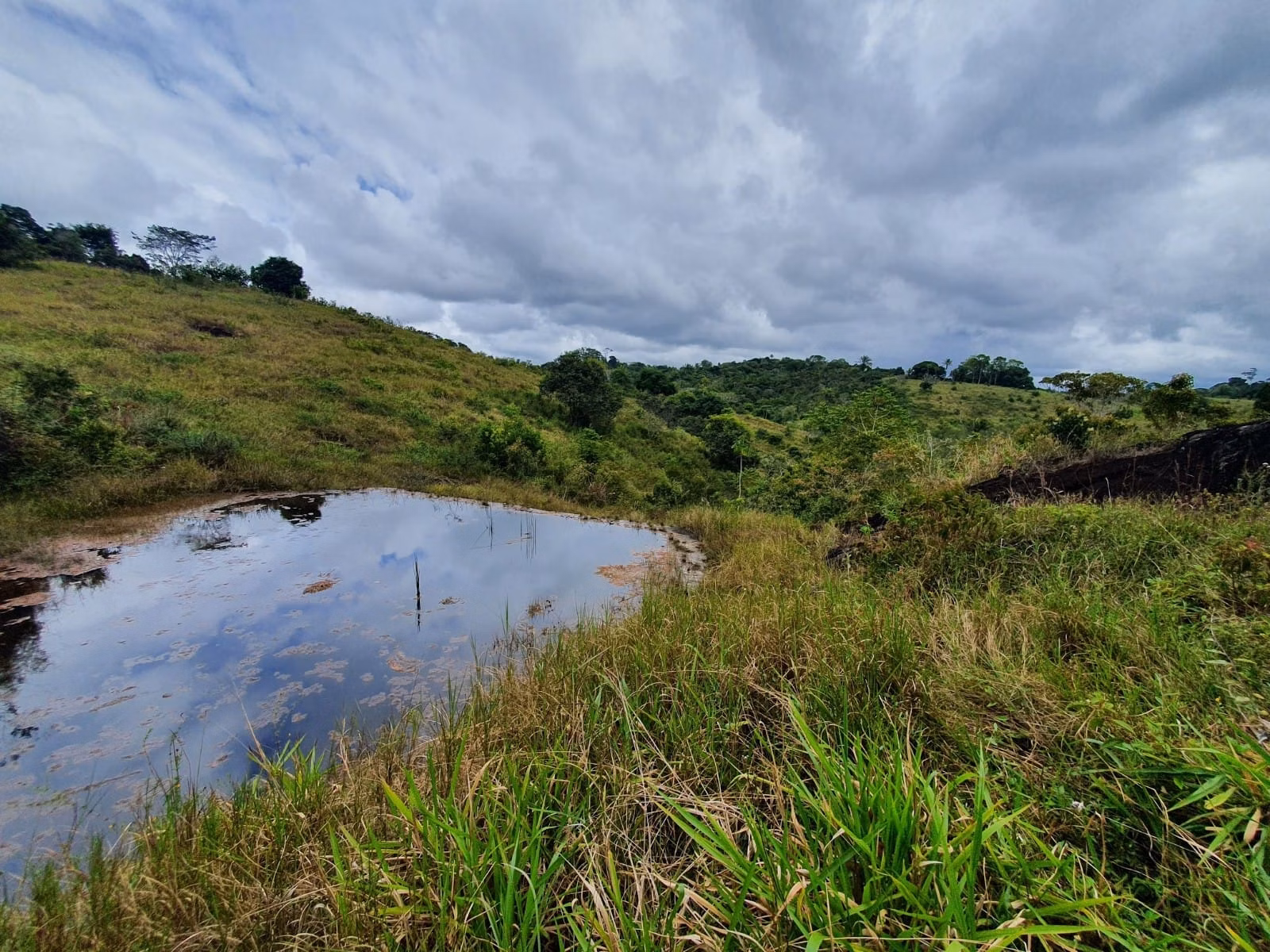 Fazenda de 45 ha em Ilhéus, BA
