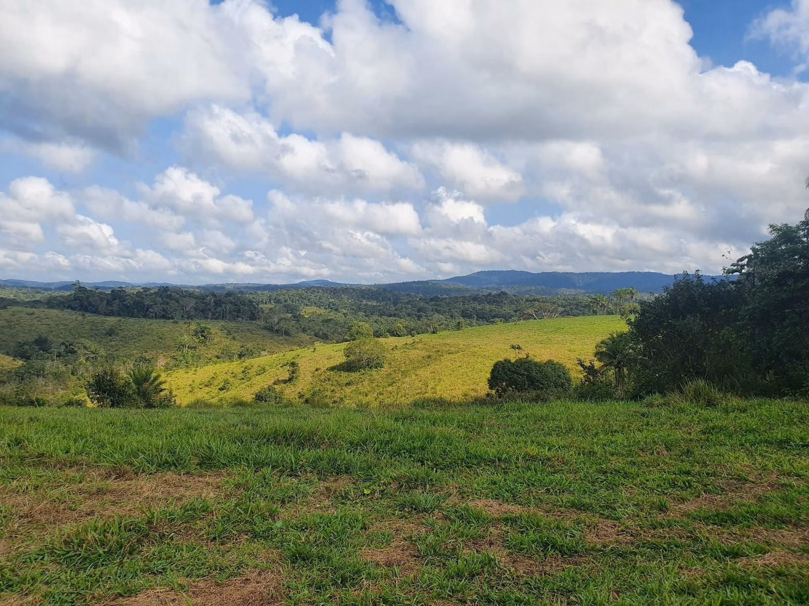 Fazenda de 45 ha em Ilhéus, BA