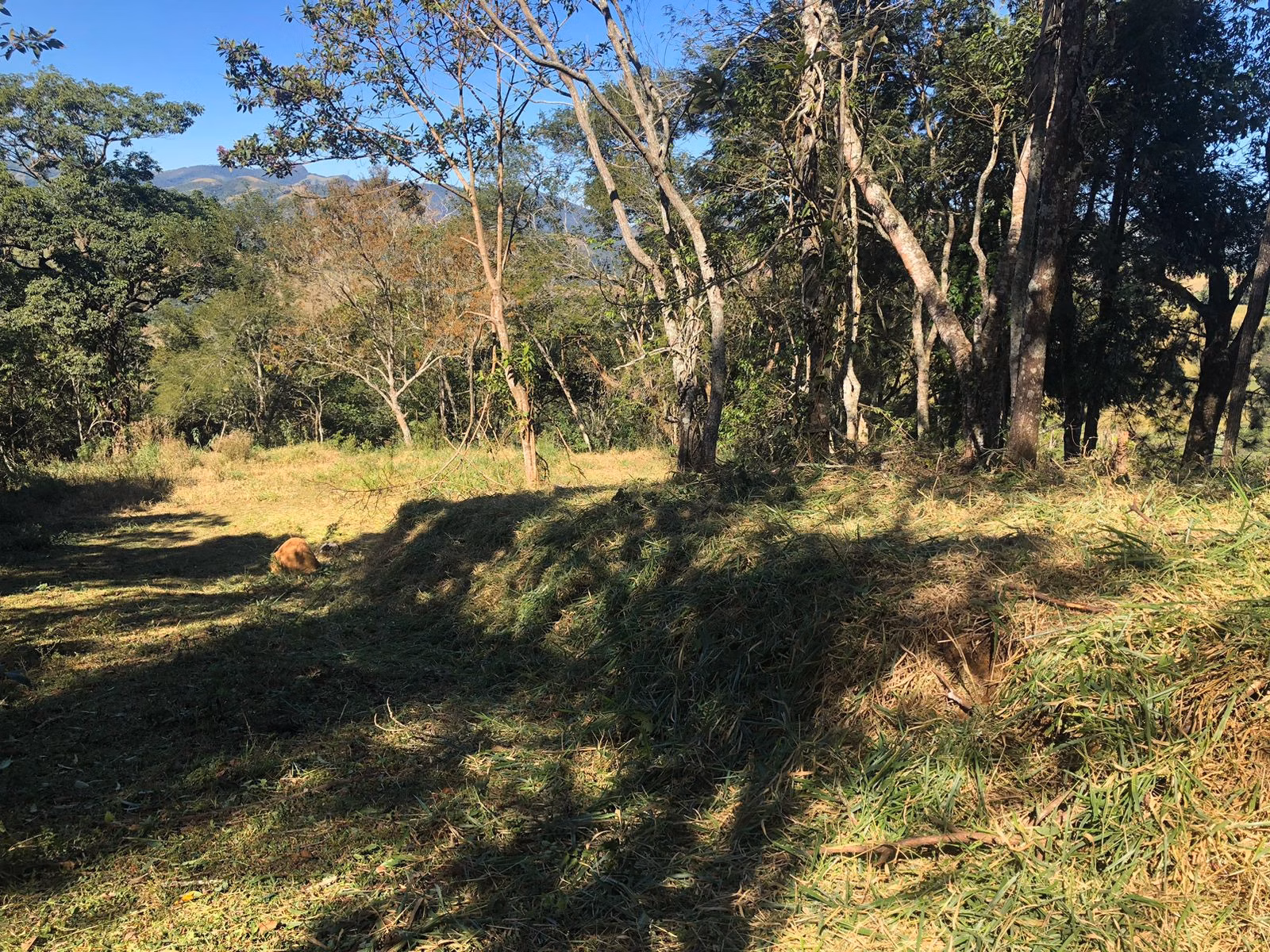 Terreno de 3 ha em Monteiro Lobato, SP