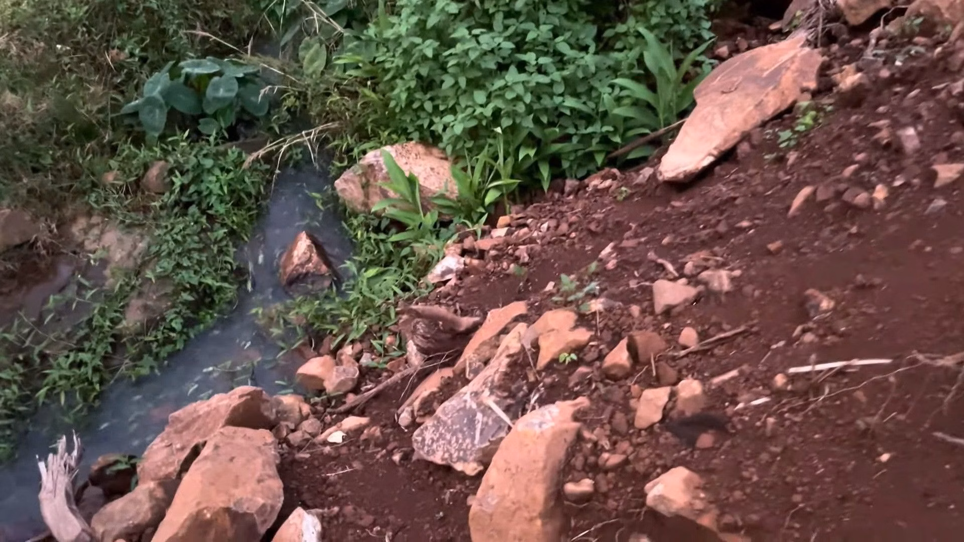 Chácara de 2 ha em Santo Antônio da Patrulha, RS