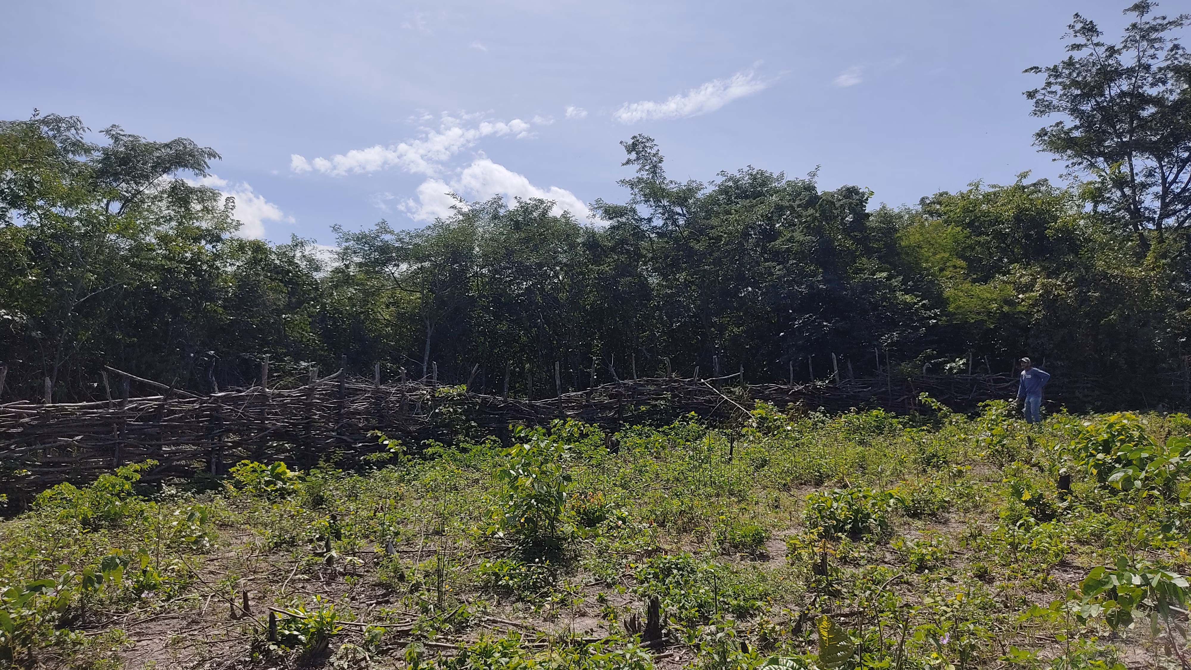 Fazenda de 362 ha em Camocim, CE