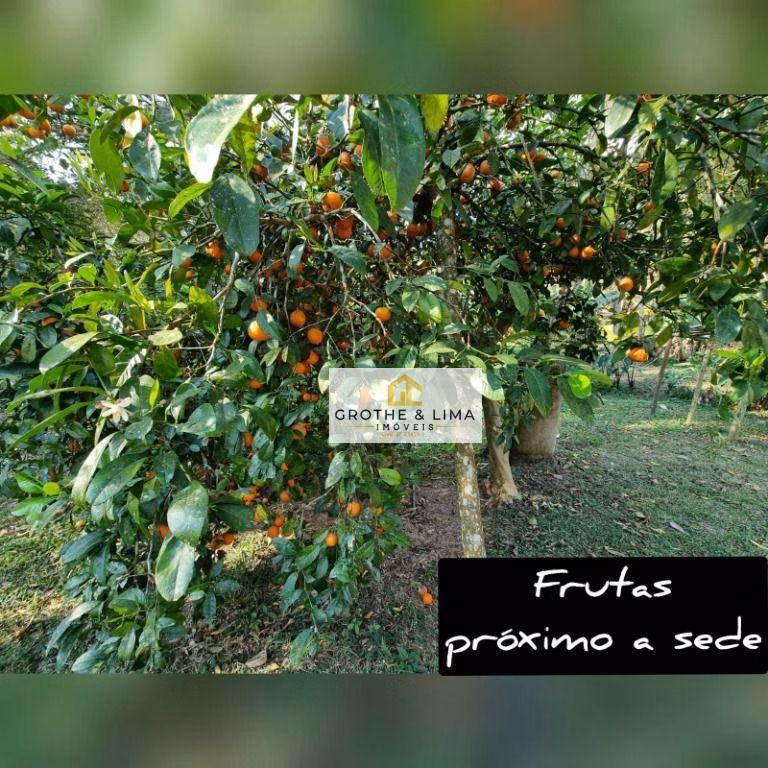 Sítio de 45 ha em Cunha, SP