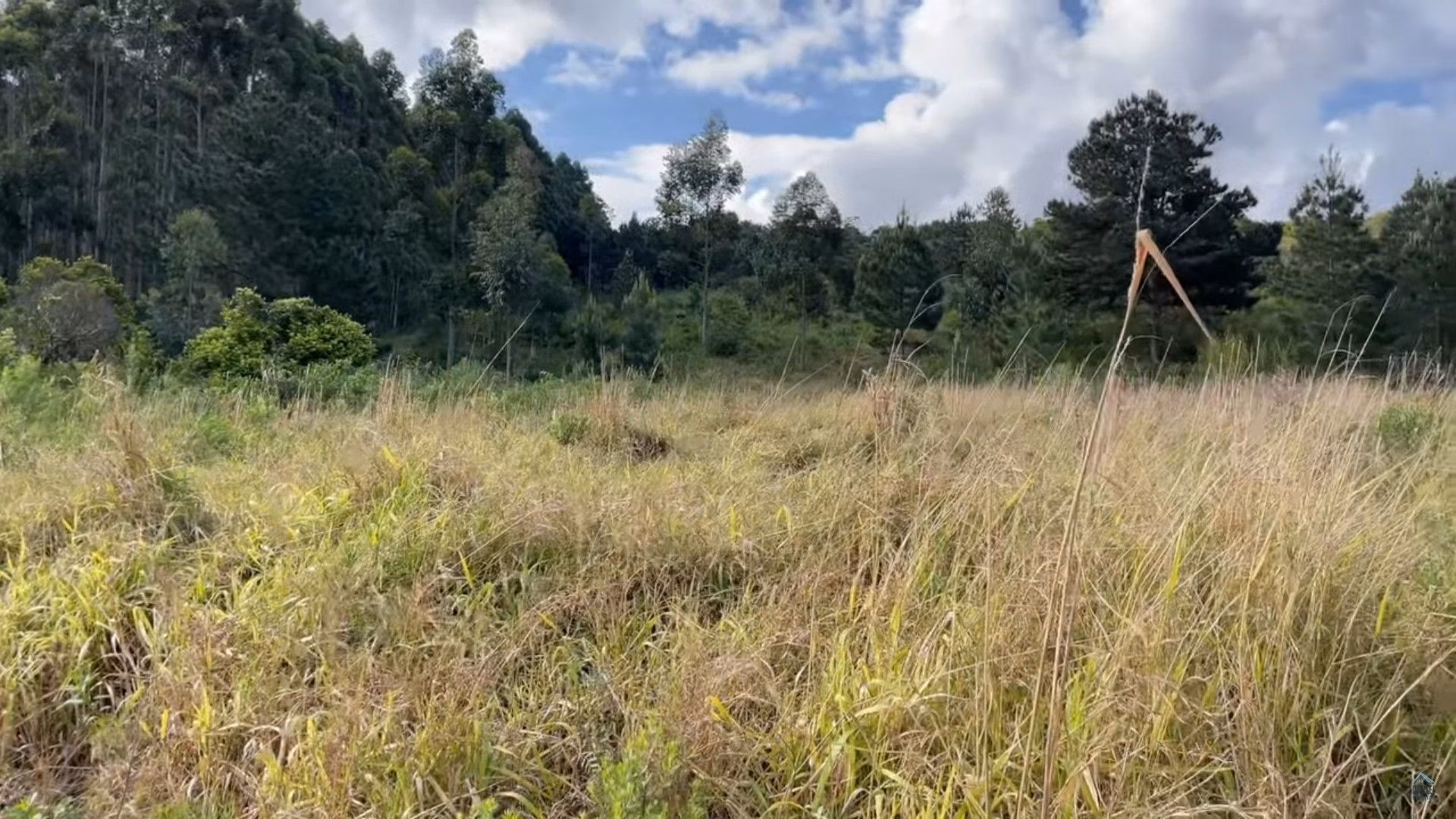 Plot of 35 acres in Caraá, RS, Brazil