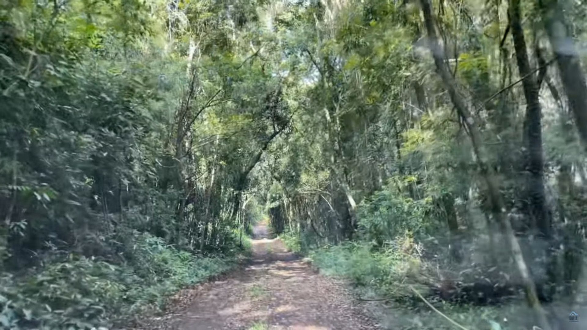 Plot of 35 acres in Caraá, RS, Brazil