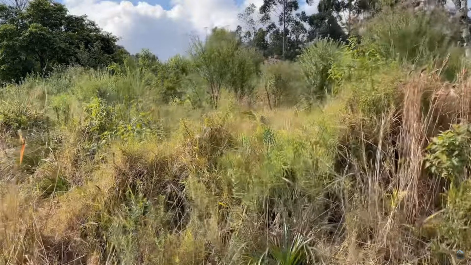 Plot of 35 acres in Caraá, RS, Brazil