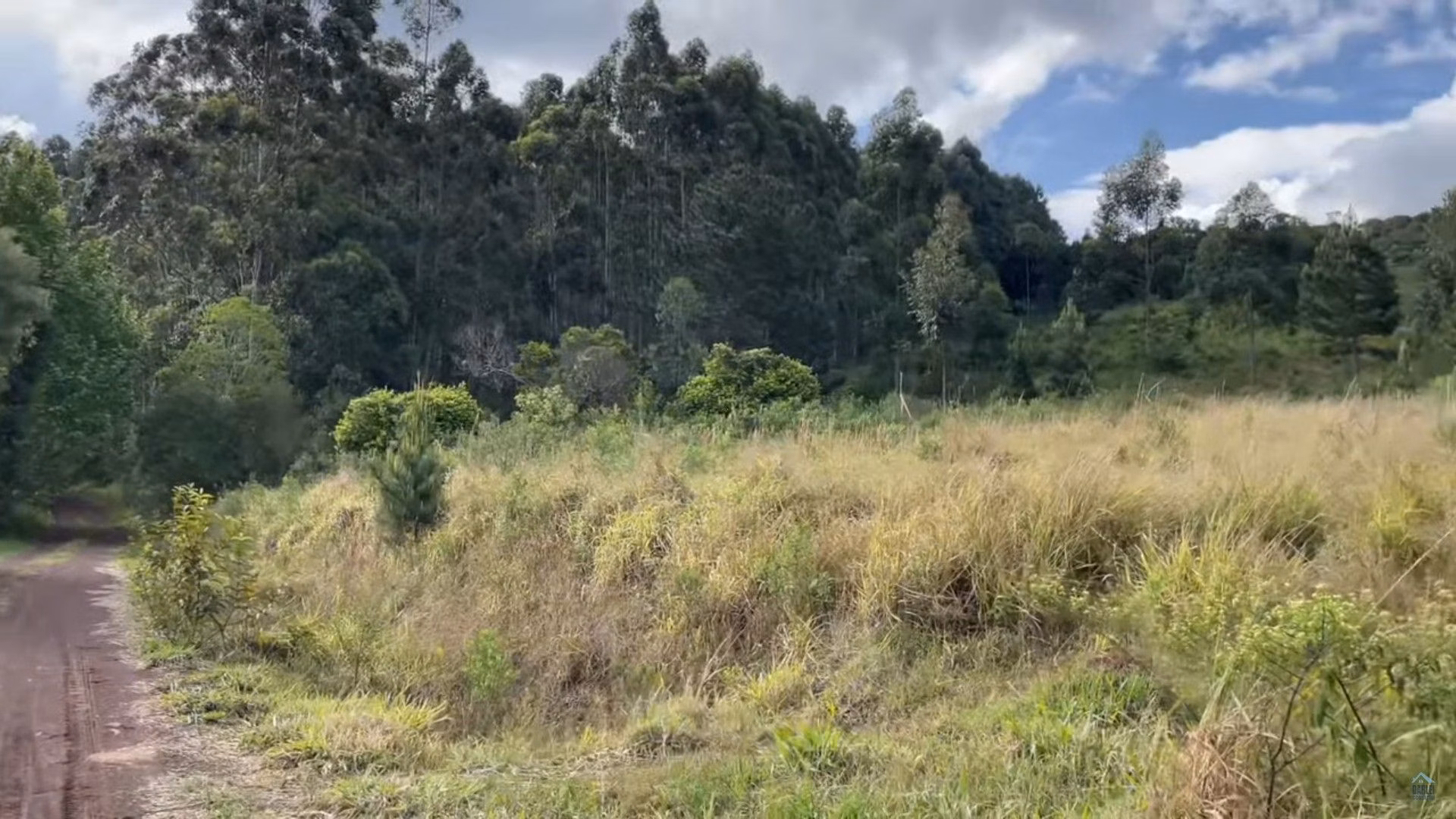 Plot of 35 acres in Caraá, RS, Brazil