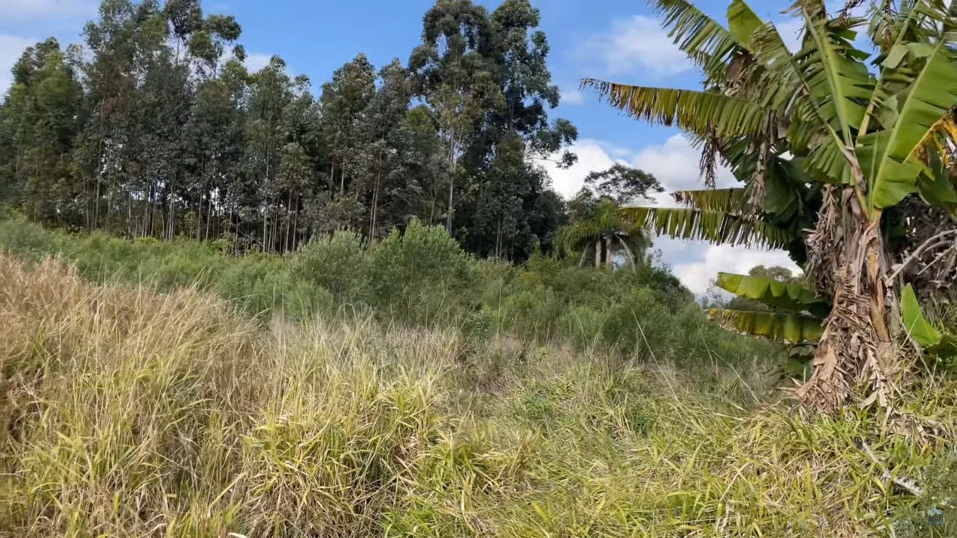 Plot of 35 acres in Caraá, RS, Brazil