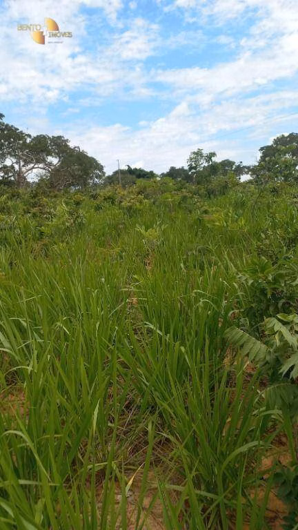 Fazenda de 1.200 ha em Cuiabá, MT