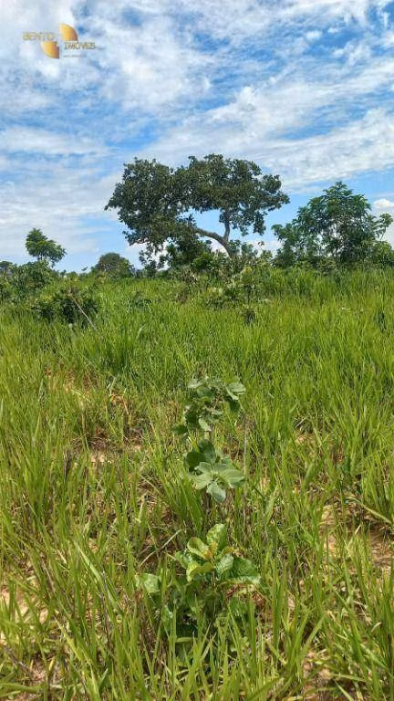Fazenda de 1.200 ha em Cuiabá, MT