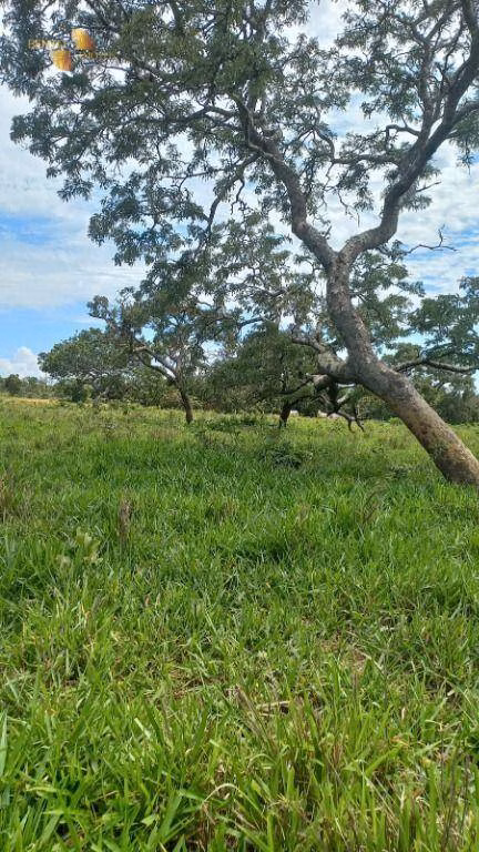 Fazenda de 1.200 ha em Cuiabá, MT