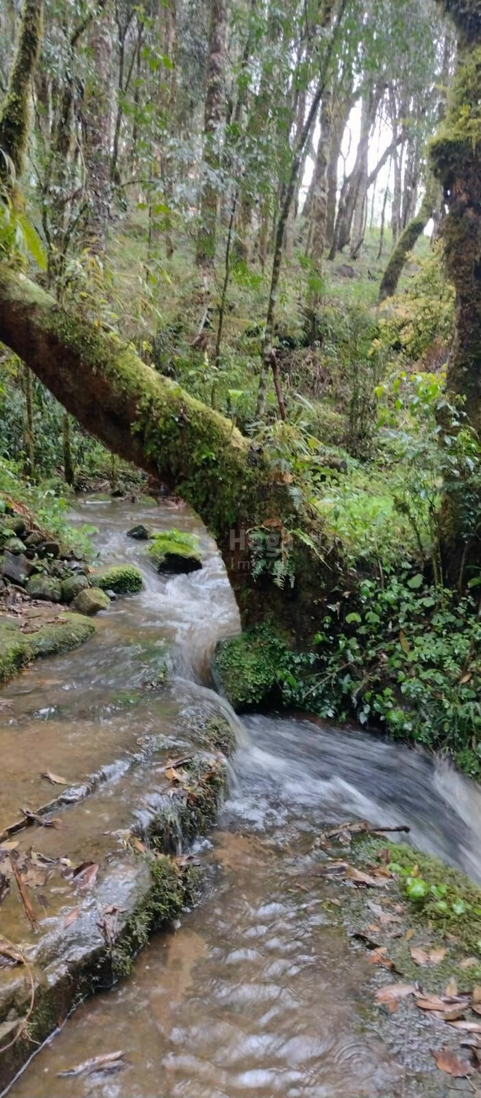 Country home of 5 acres in Urubici, SC, Brazil