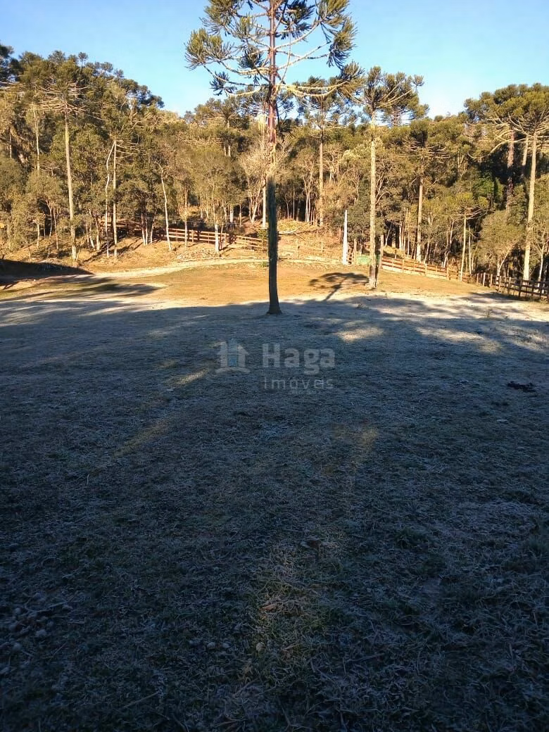 Country home of 5 acres in Urubici, SC, Brazil