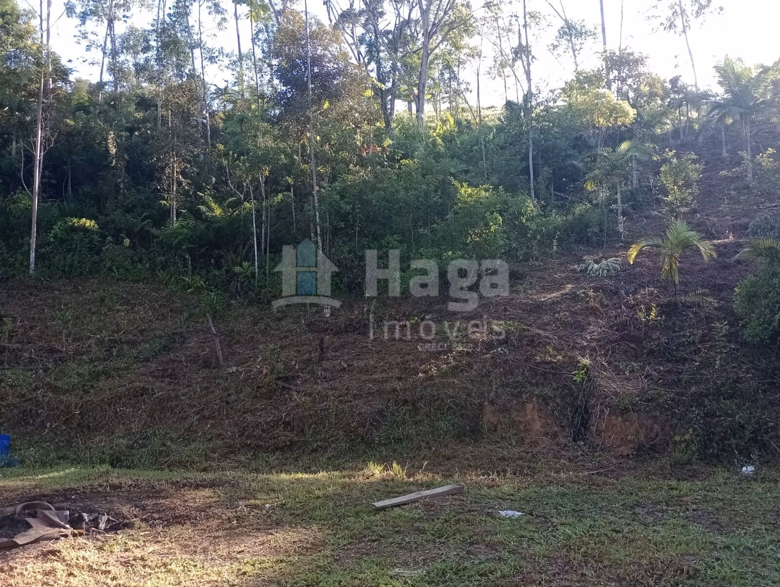 Fazenda de 3 ha em Major Gercino, SC