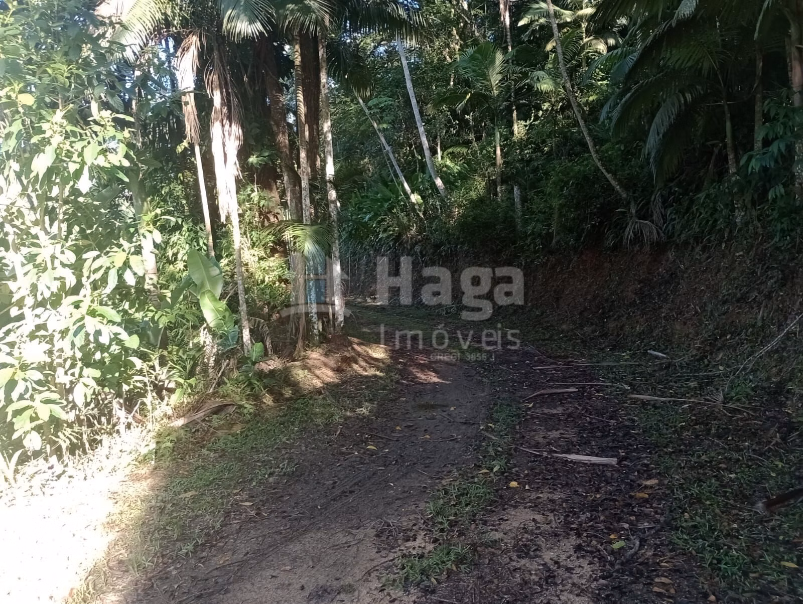 Fazenda de 3 ha em Major Gercino, SC