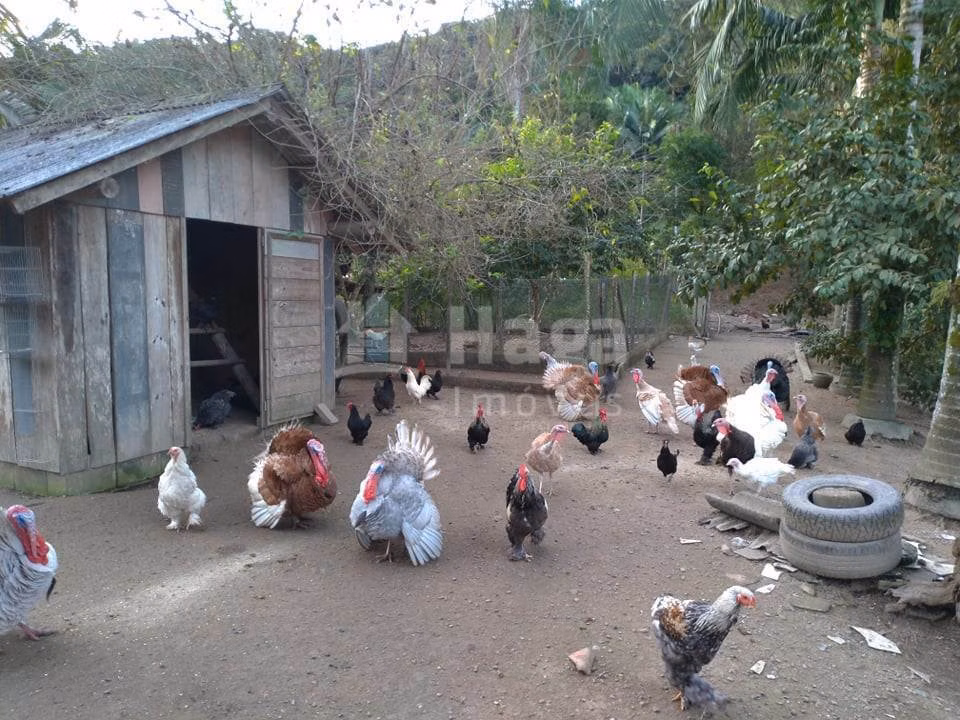 Chácara de 3.000 m² em Guabiruba, SC