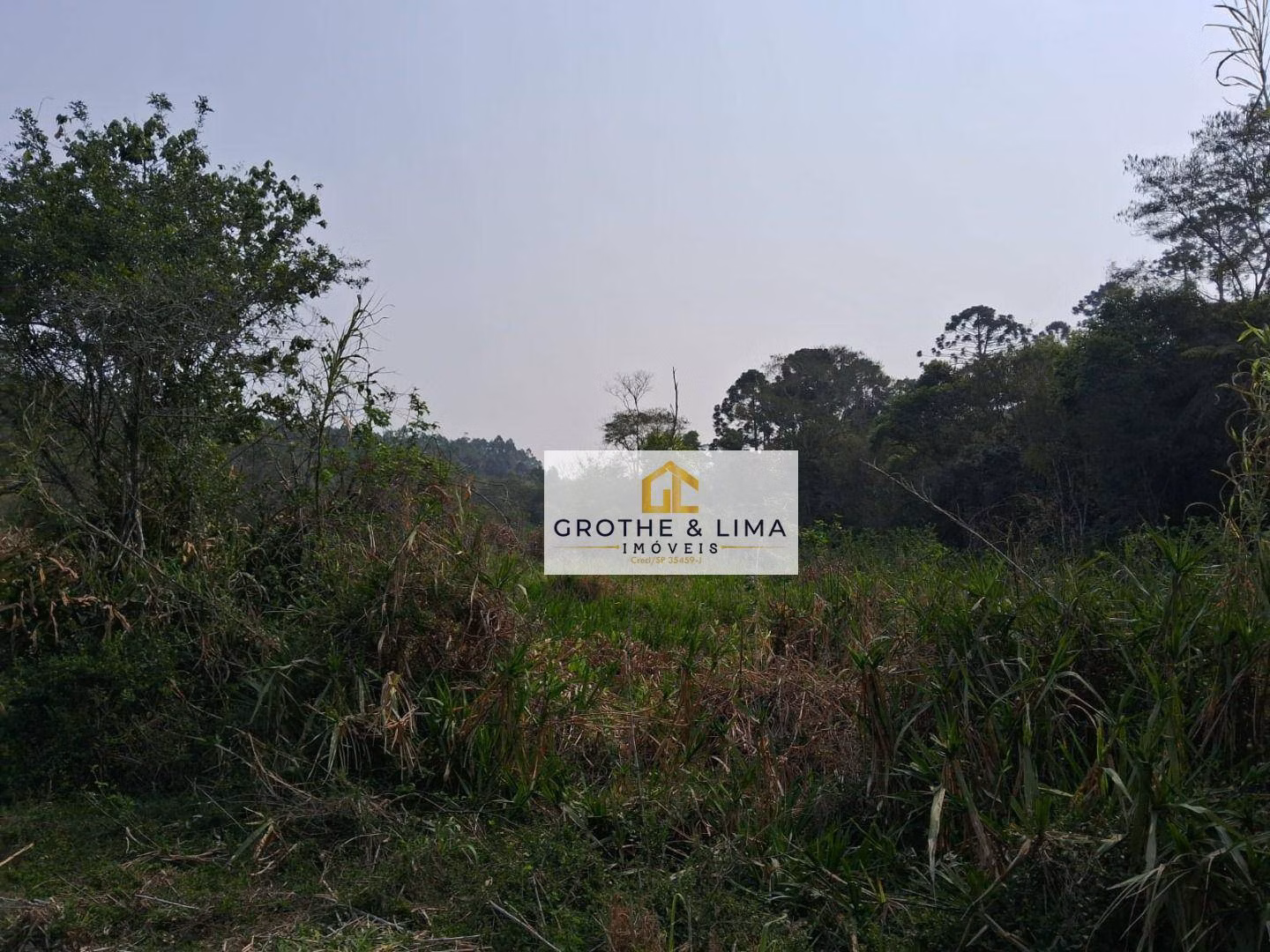 Sítio de 10 ha em Lagoinha, SP
