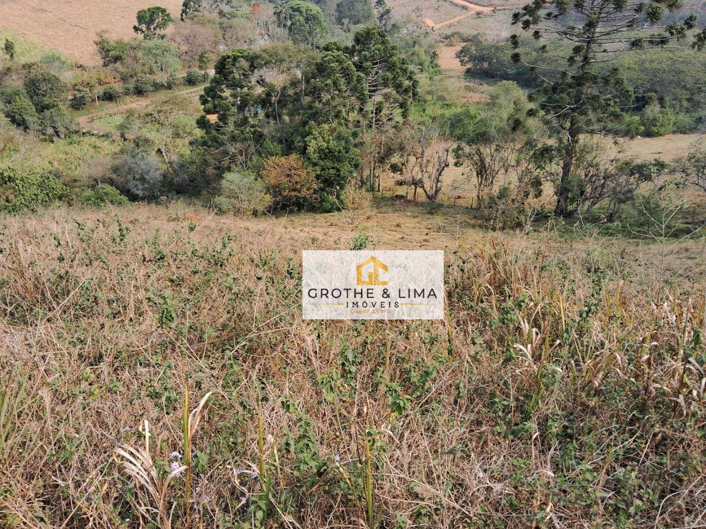 Sítio de 10 ha em Lagoinha, SP