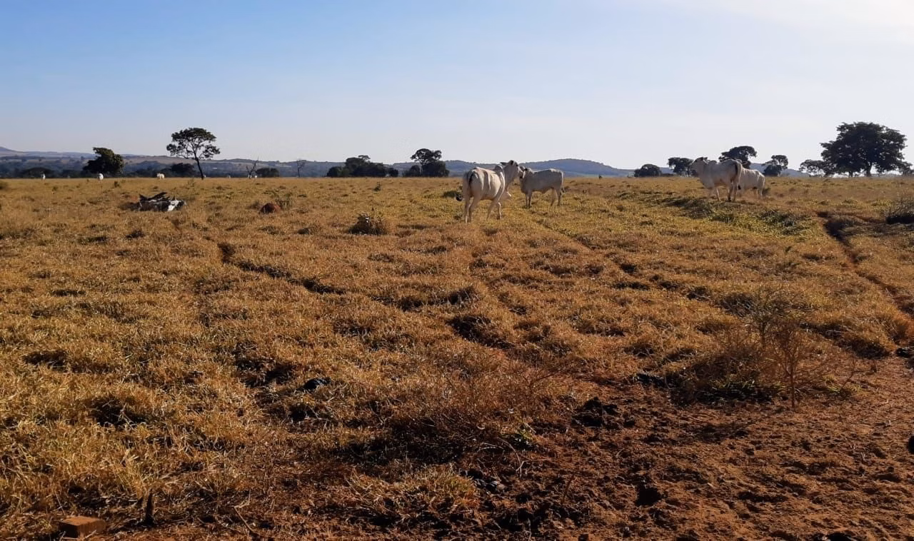 Fazenda de 857 ha em Goiânia, GO