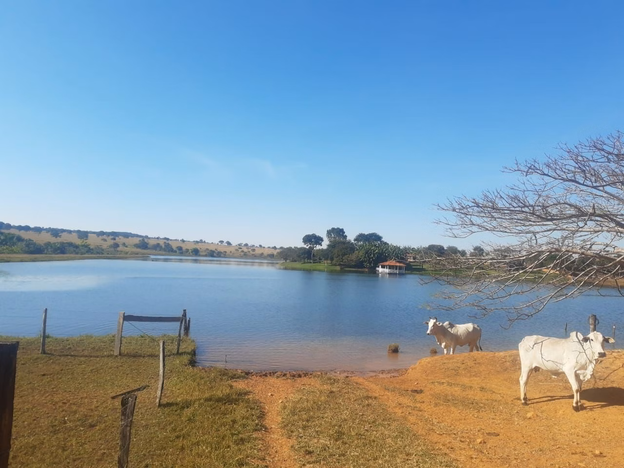Fazenda de 857 ha em Goiânia, GO