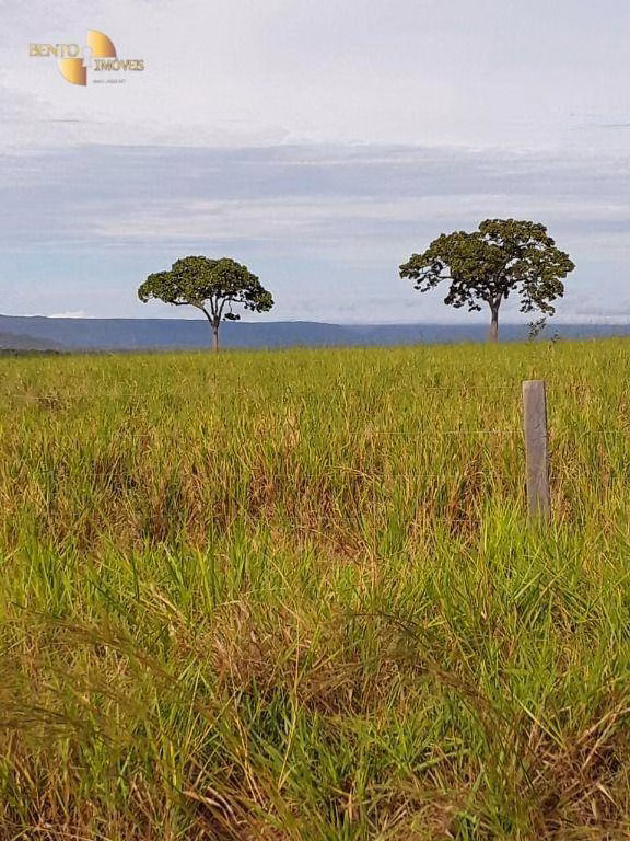 Fazenda de 7.430 ha em Nova Mutum, MT
