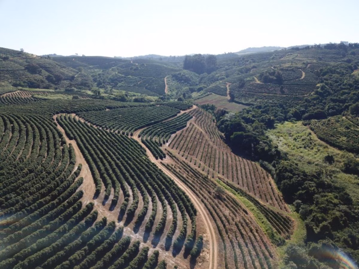 Fazenda à venda de 402 ha em Caconde, SP