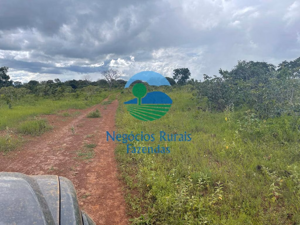 Fazenda de 208 ha em Uruaçu, GO