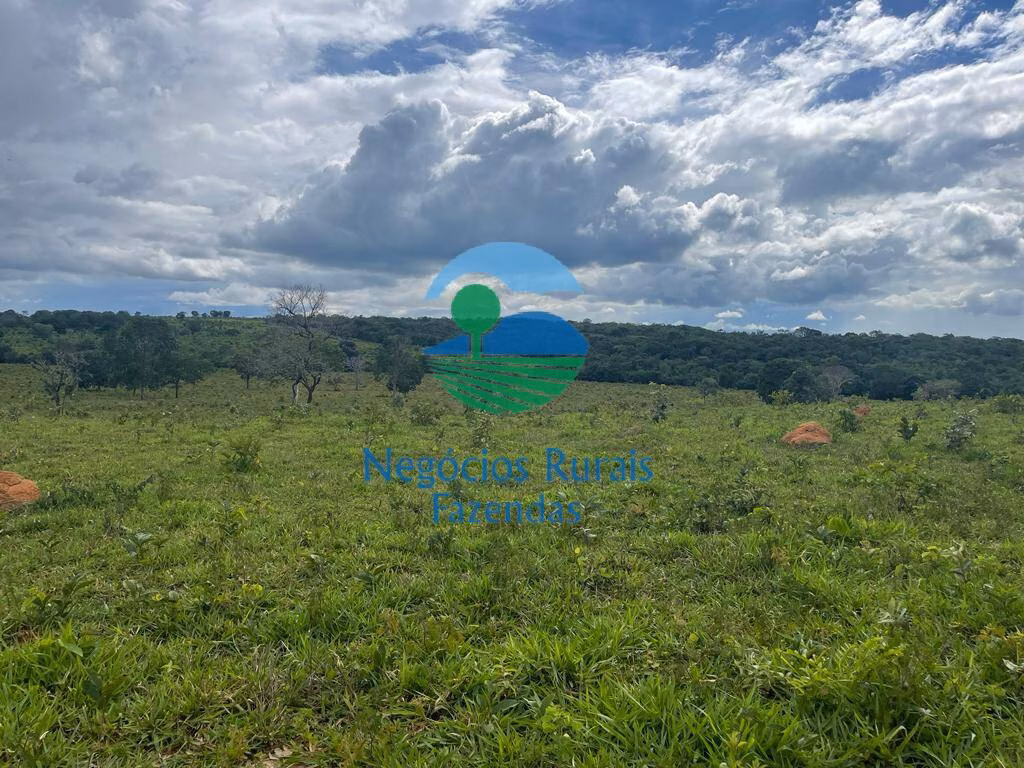 Fazenda de 208 ha em Uruaçu, GO