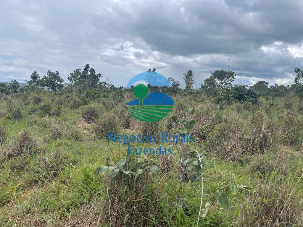 Fazenda de 208 ha em Uruaçu, GO