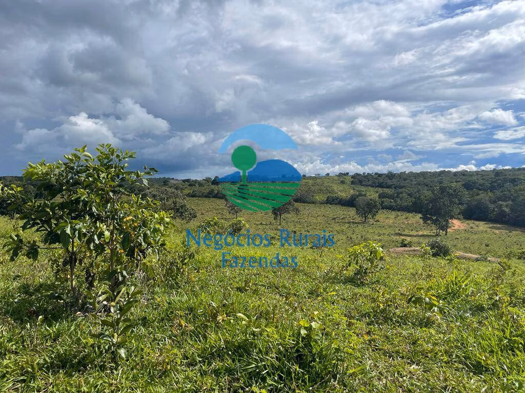 Fazenda de 208 ha em Uruaçu, GO