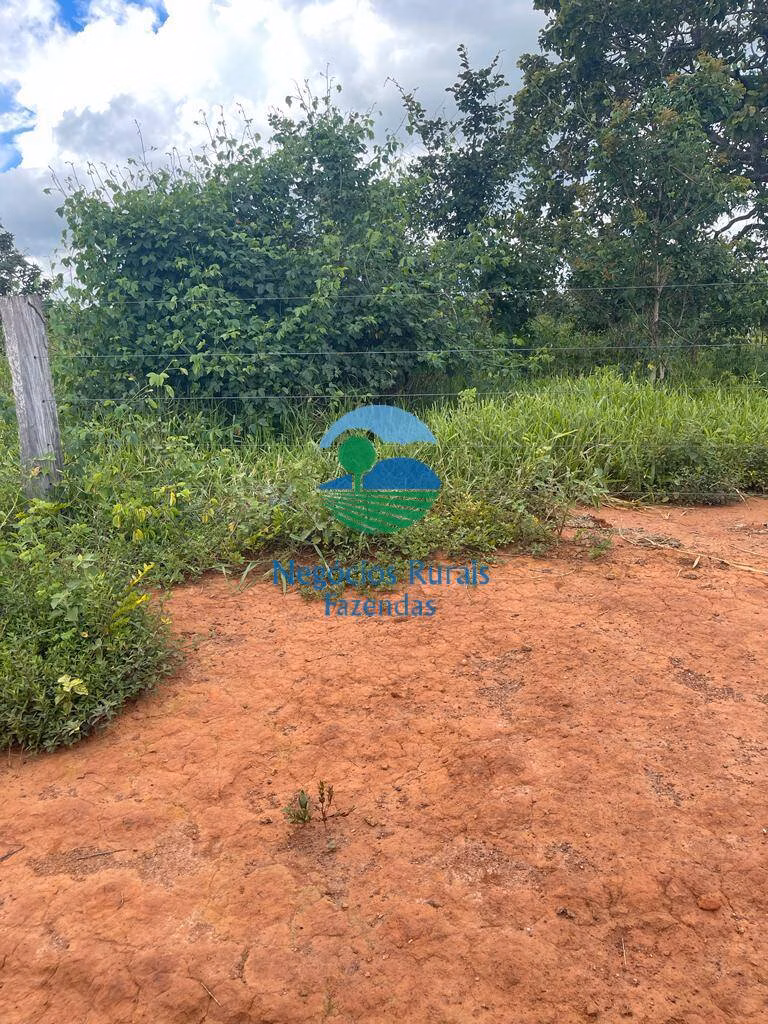 Fazenda de 208 ha em Uruaçu, GO