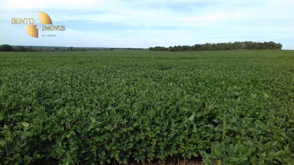 Fazenda de 4.080 ha em Ribeirão Cascalheira, MT
