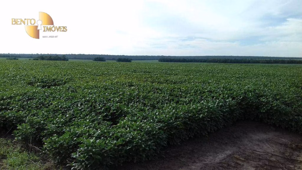 Fazenda de 4.080 ha em Ribeirão Cascalheira, MT