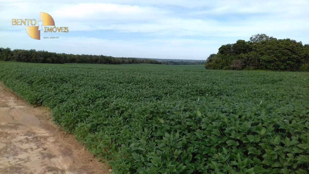 Fazenda de 4.080 ha em Ribeirão Cascalheira, MT
